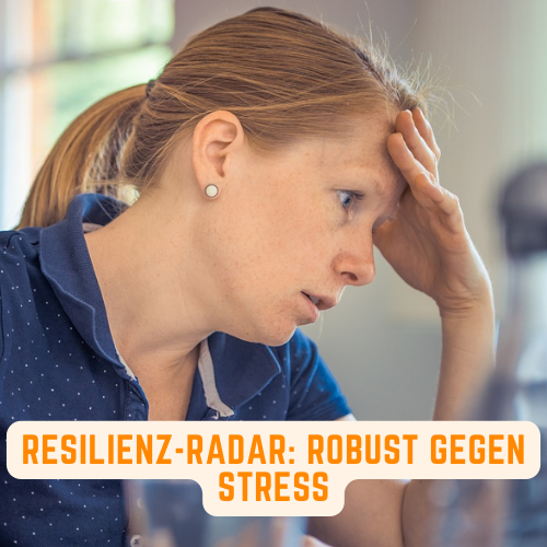 Seminar "Resilienz-Radar: Robust gegen Stress" von Lutz Ramlich
